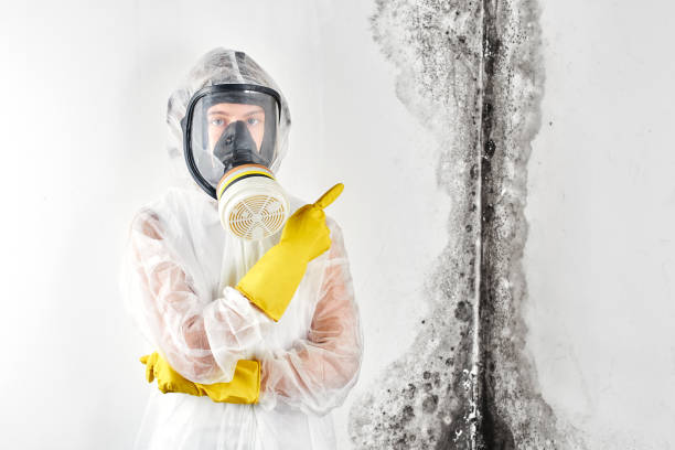 Best Mold Prevention Services  in Whitinsville, MA