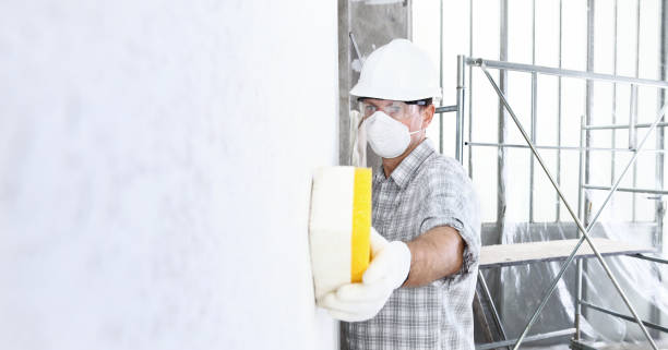 Best Mold Damage Restoration  in Whitinsville, MA